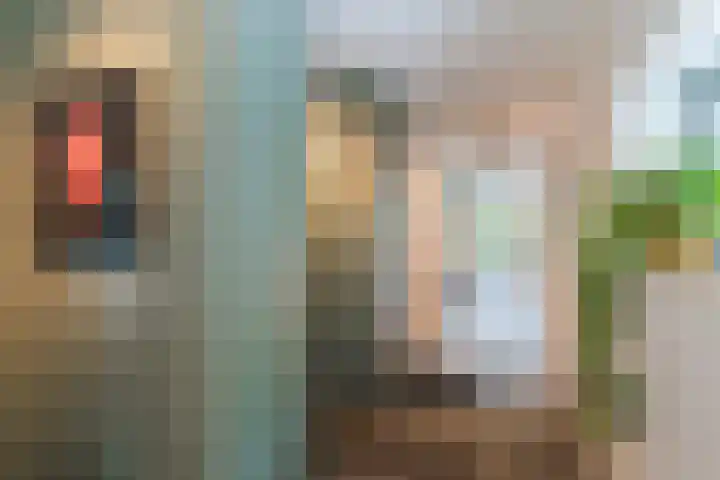 Slikkenburghof 12 Tilburg thumbnail 4