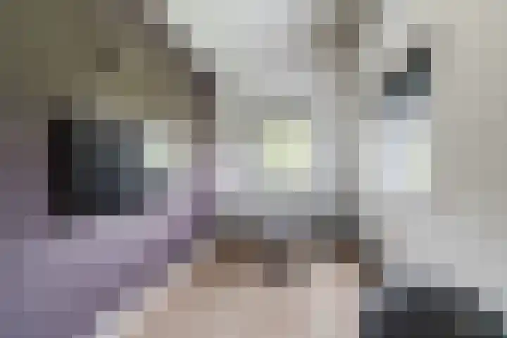 Slikkenburghof 12 Tilburg thumbnail 42