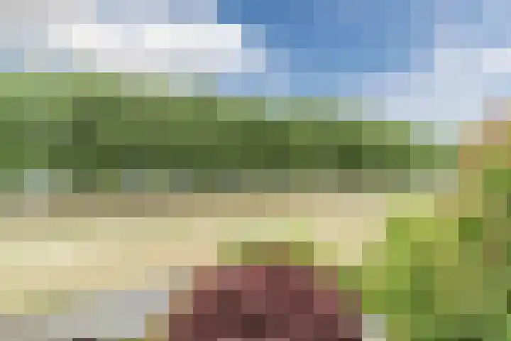 Slikkenburghof 12 Tilburg thumbnail 44