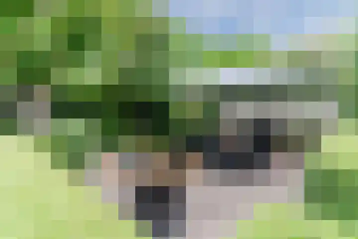 Slikkenburghof 12 Tilburg thumbnail 47