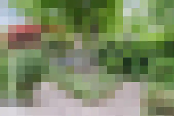 Slikkenburghof 12 Tilburg thumbnail 48