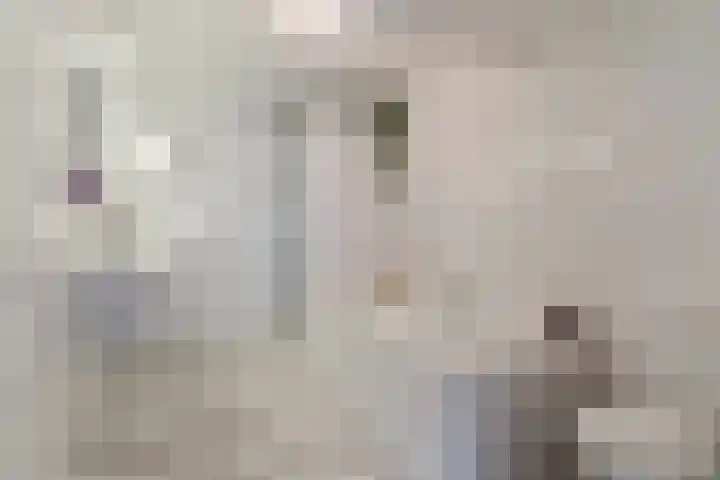 Slikkenburghof 12 Tilburg thumbnail 5