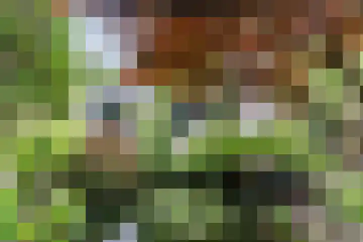 Slikkenburghof 12 Tilburg thumbnail 52