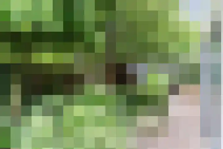 Slikkenburghof 12 Tilburg thumbnail 54