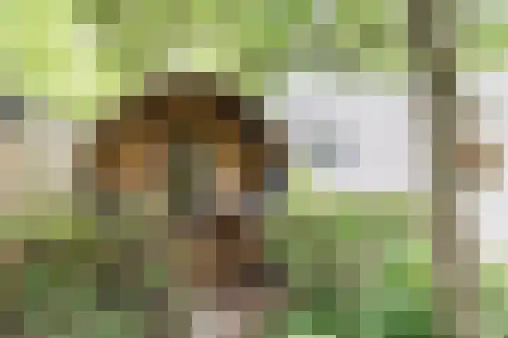 Slikkenburghof 12 Tilburg thumbnail 55