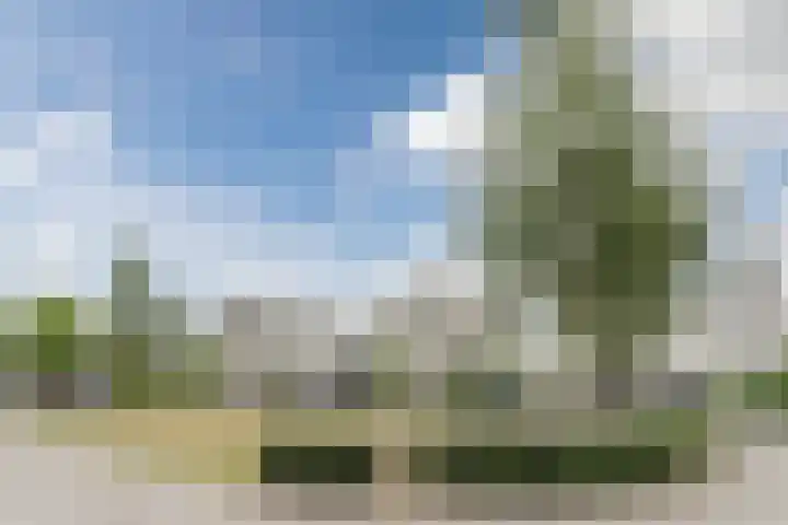 Slikkenburghof 12 Tilburg thumbnail 57