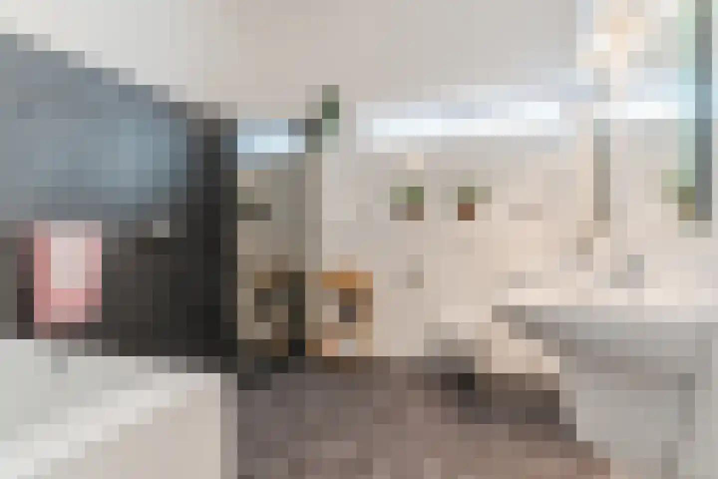 Slikkenburghof 5 Tilburg thumbnail 25