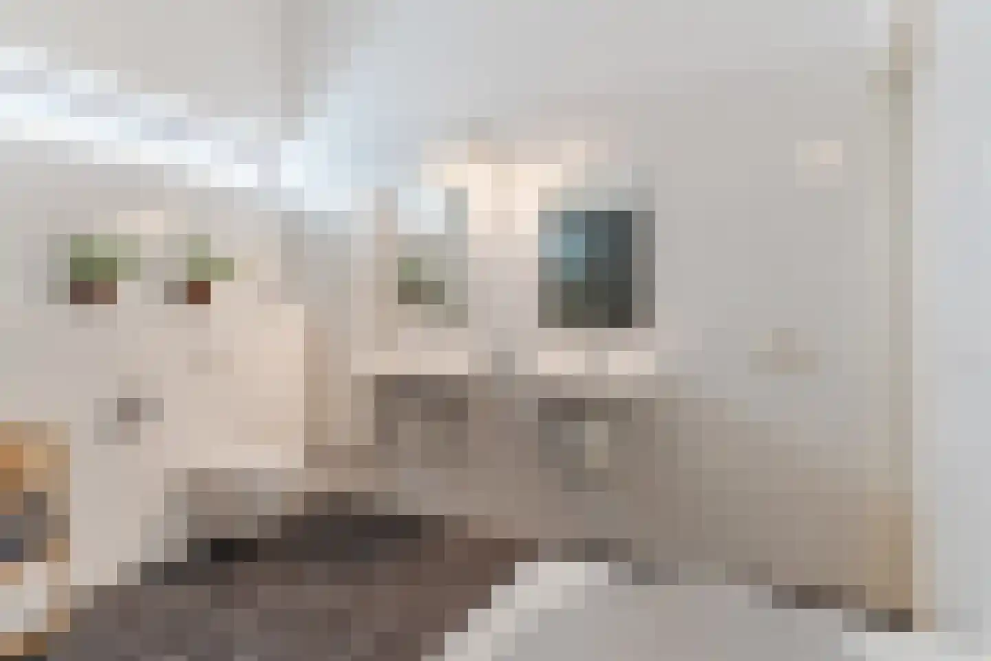 Slikkenburghof 5 Tilburg thumbnail 27