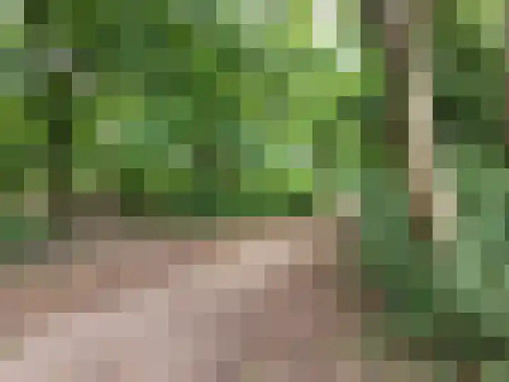 Slikkerdijk 8 Wervershoof thumbnail 24
