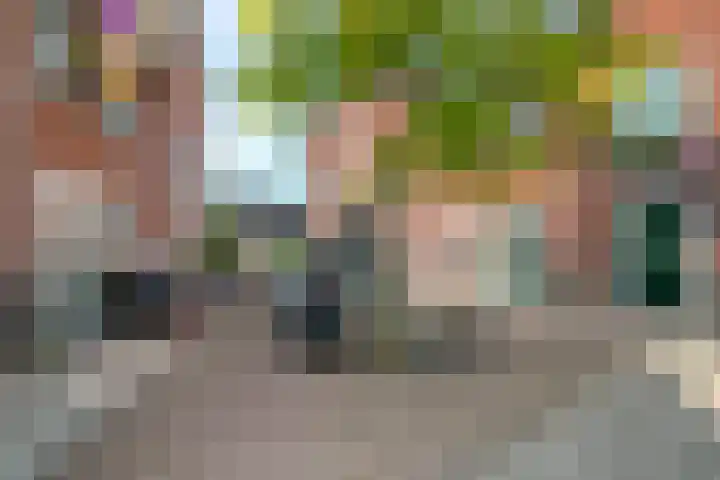 Slikkerveersestraat 32 Schiedam thumbnail 28
