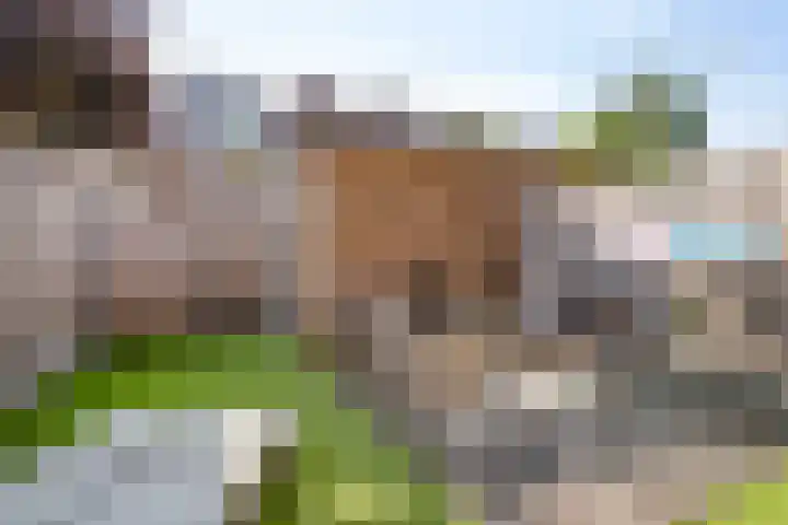 Slikkerveersestraat 32 Schiedam thumbnail 5