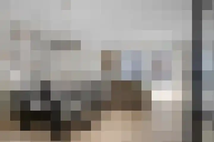 Slikkerveersestraat 32 Schiedam thumbnail 8