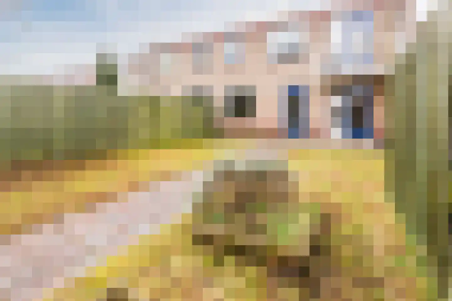 Slikkerveerstraat 2 Amsterdam thumbnail 23