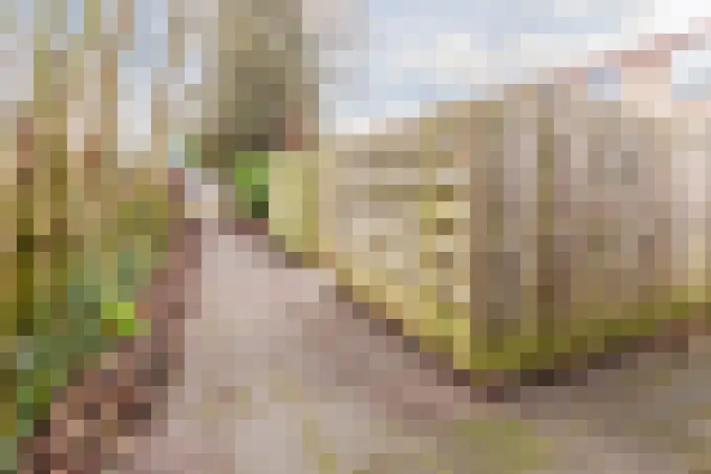 Slikkerveerstraat 2 Amsterdam thumbnail 24