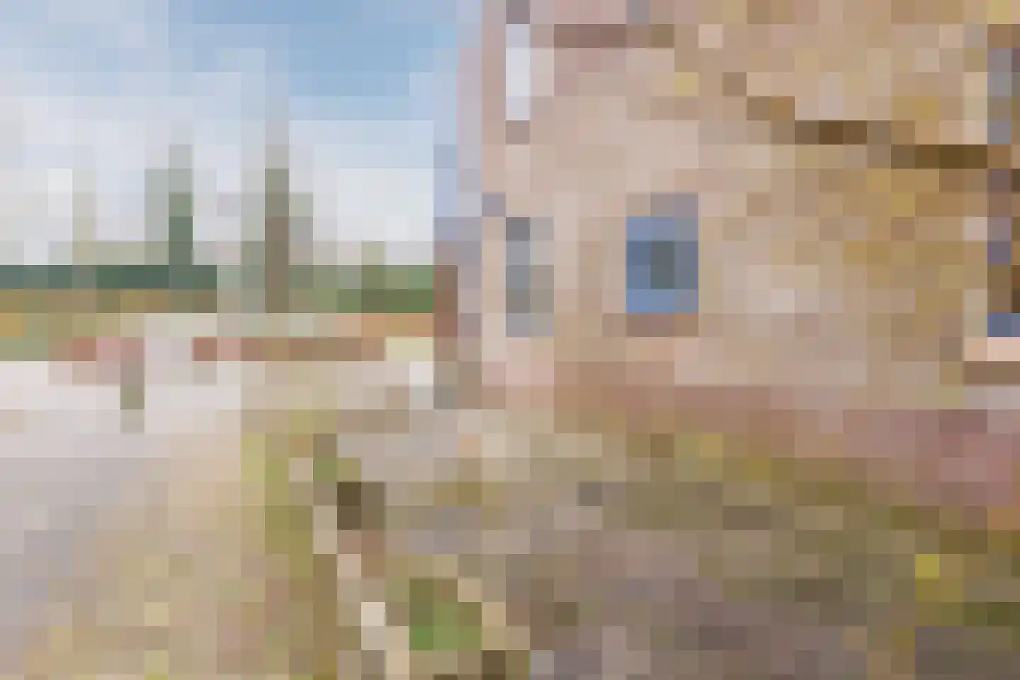 Slikkerveerstraat 2 Amsterdam thumbnail 35