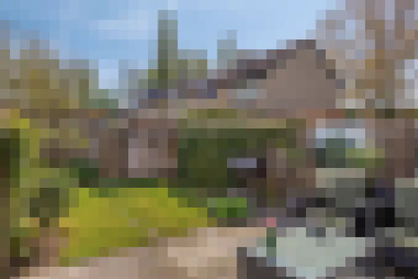 Slikkerveerstraat 29 Arnhem thumbnail 24