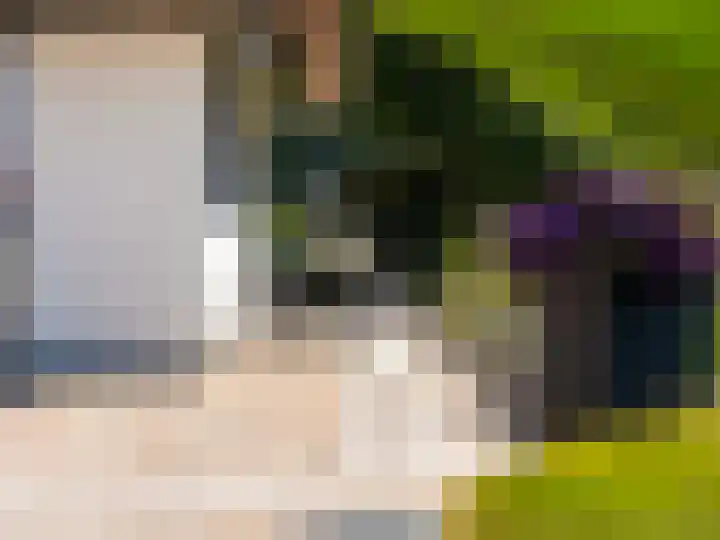 Sliklandseweg 2 c Rockanje thumbnail 32