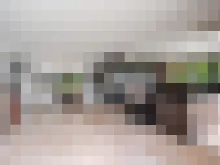 Sliklandseweg 2 c Rockanje thumbnail 4