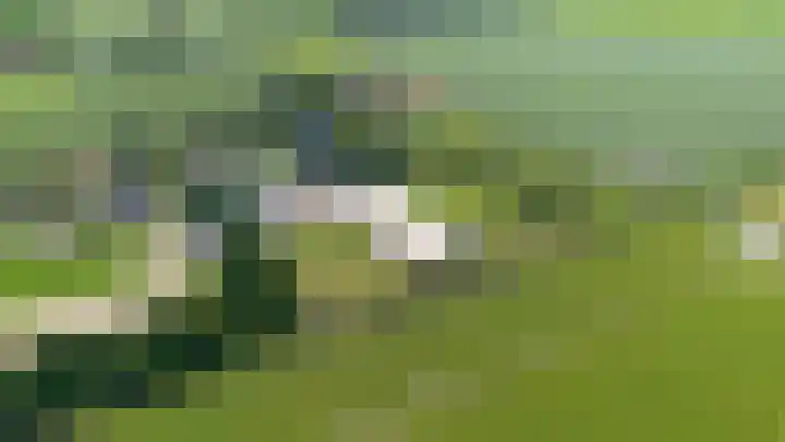 Sliklandseweg 2 c Rockanje thumbnail 40