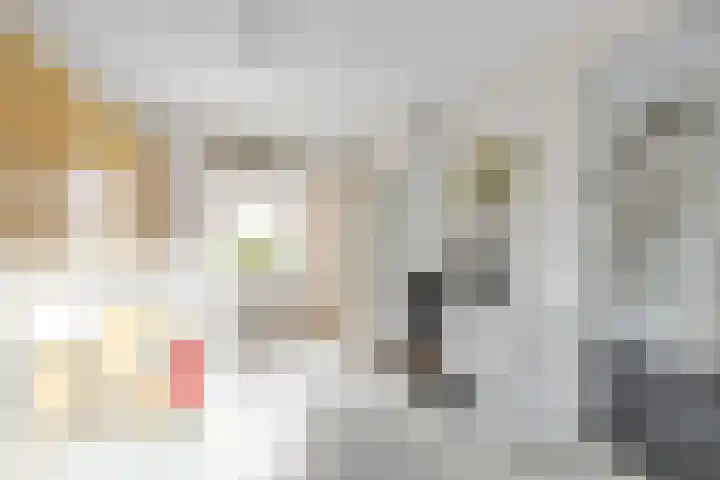 Sliklandseweg 3 Rockanje thumbnail 10