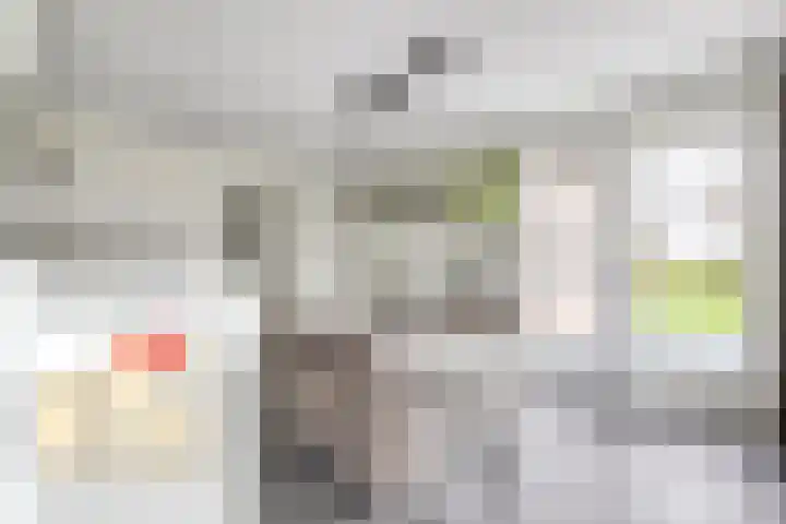 Sliklandseweg 3 Rockanje thumbnail 13