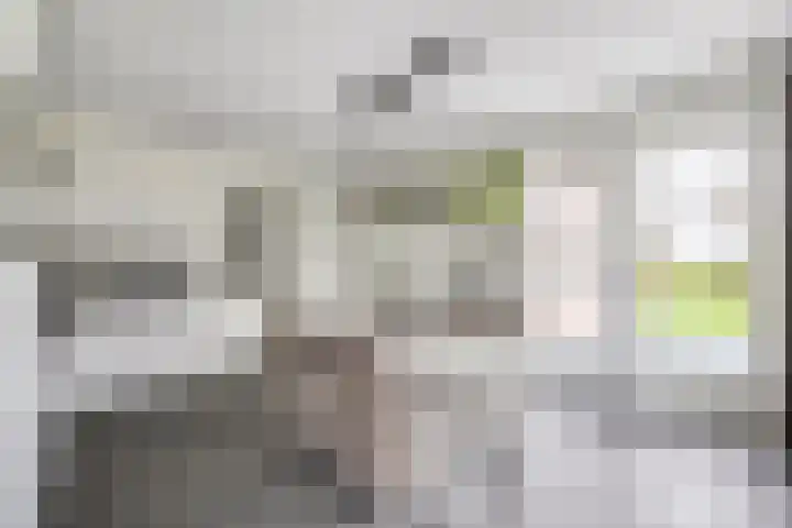 Sliklandseweg 3 Rockanje thumbnail 14