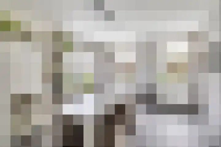 Sliklandseweg 3 Rockanje thumbnail 18