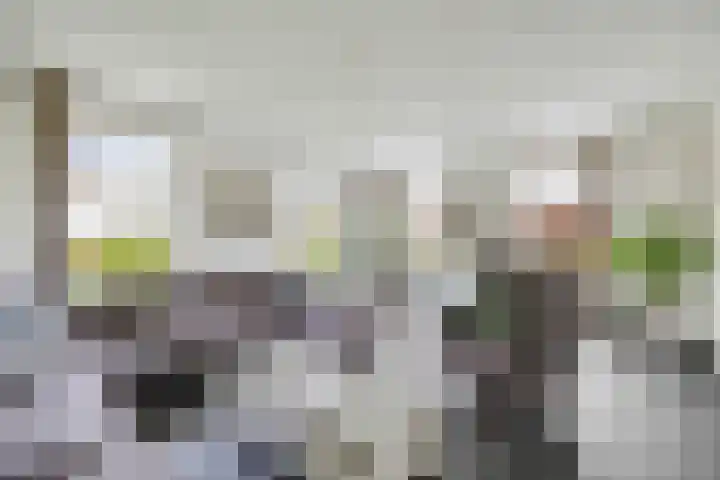 Sliklandseweg 3 Rockanje thumbnail 20