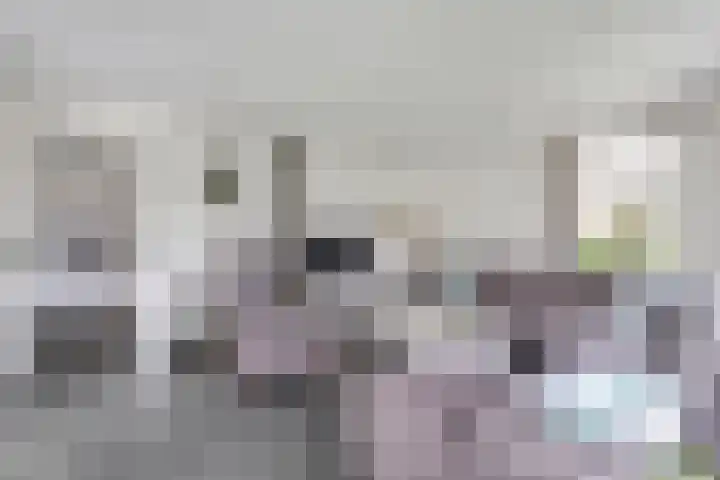Sliklandseweg 3 Rockanje thumbnail 24