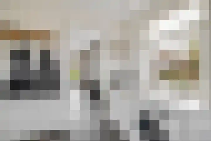 Sliklandseweg 3 Rockanje thumbnail 26