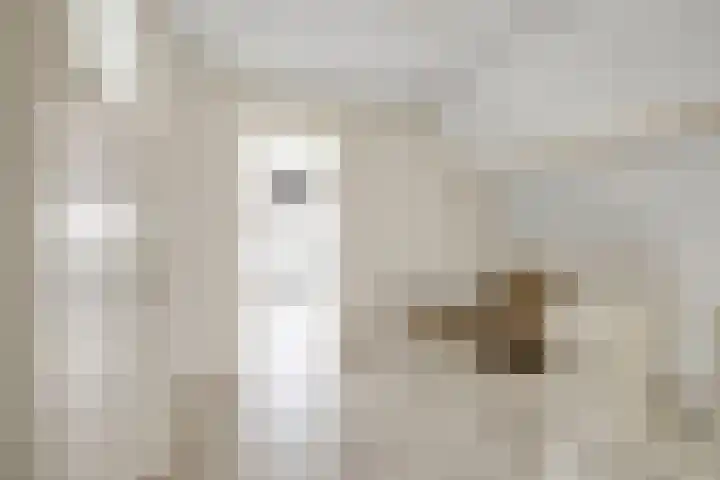 Sliklandseweg 3 Rockanje thumbnail 27