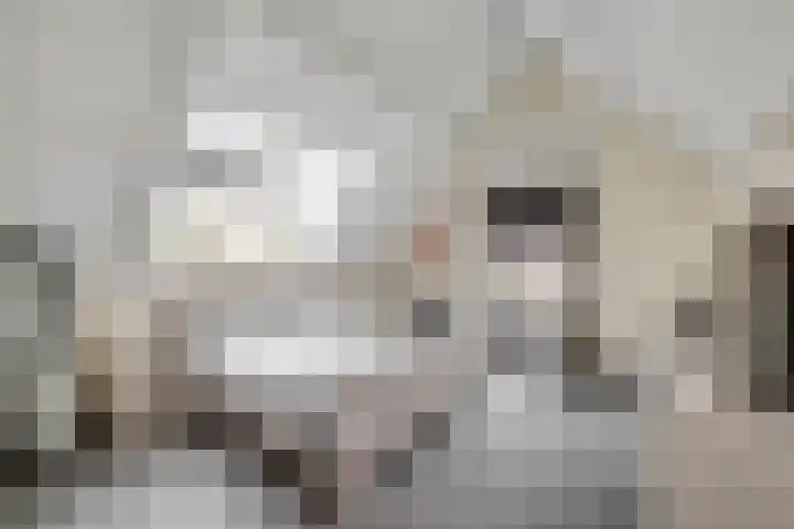 Sliklandseweg 3 Rockanje thumbnail 30
