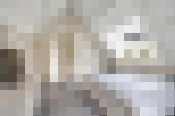 Sliklandseweg 3 Rockanje thumbnail 31