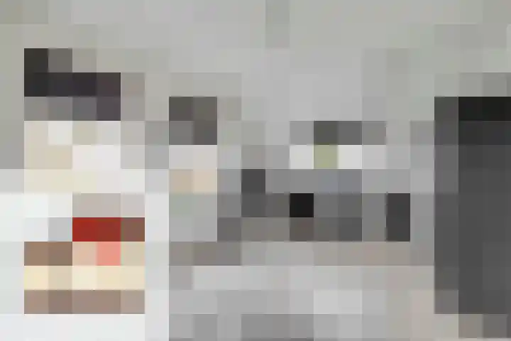 Sliklandseweg 3 Rockanje thumbnail 36