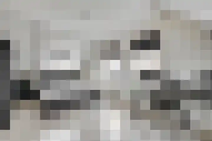 Sliklandseweg 3 Rockanje thumbnail 37