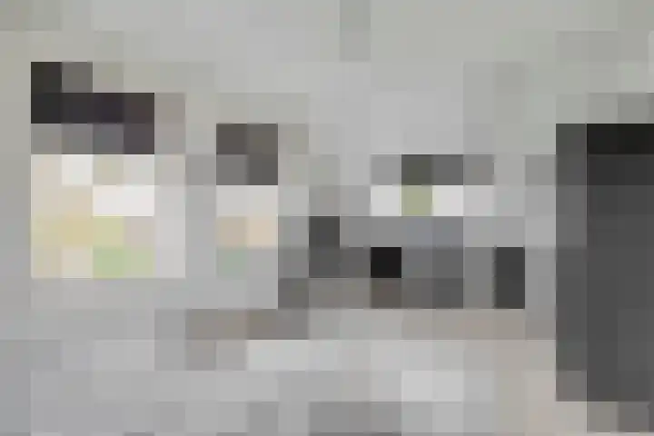 Sliklandseweg 3 Rockanje thumbnail 38