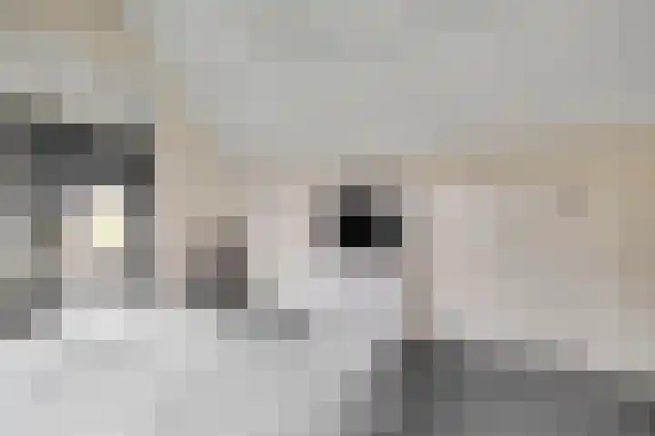 Sliklandseweg 3 Rockanje thumbnail 39
