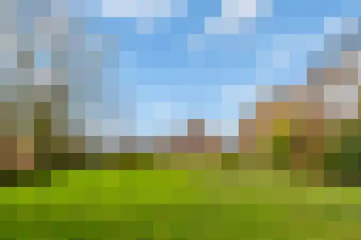 Sliklandseweg 3 Rockanje thumbnail 41