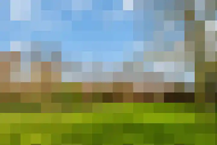 Sliklandseweg 3 Rockanje thumbnail 42