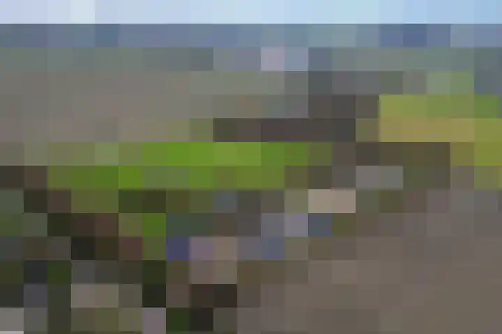 Sliklandseweg 3 Rockanje thumbnail 44