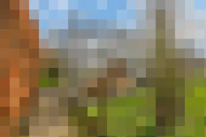 Sliklandseweg 3 Rockanje thumbnail 45