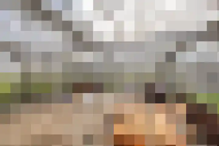 Sliklandseweg 3 Rockanje thumbnail 46