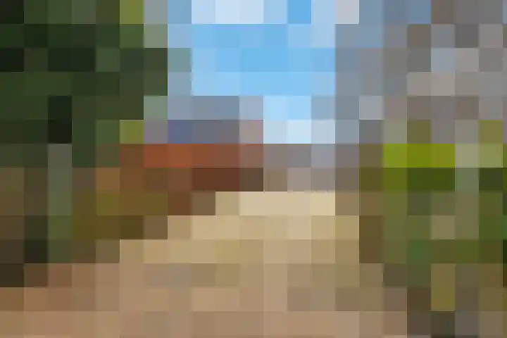 Sliklandseweg 3 Rockanje thumbnail 5