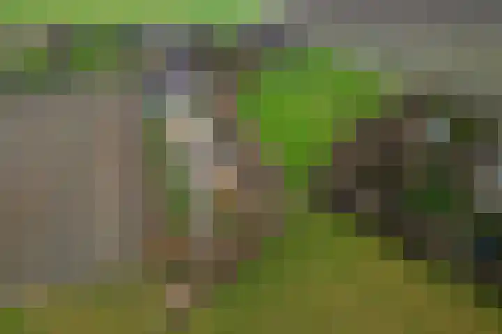 Sliklandseweg 3 Rockanje thumbnail 55