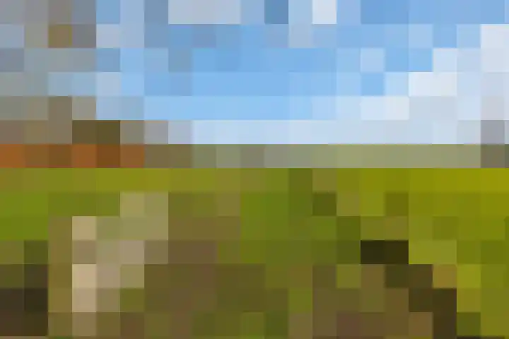 Sliklandseweg 3 Rockanje thumbnail 56