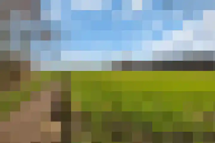 Sliklandseweg 3 Rockanje thumbnail 57