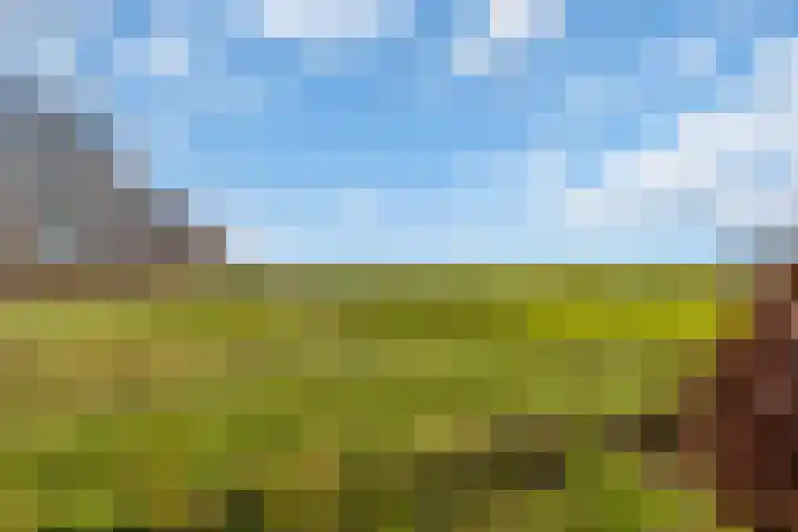 Sliklandseweg 3 Rockanje thumbnail 58