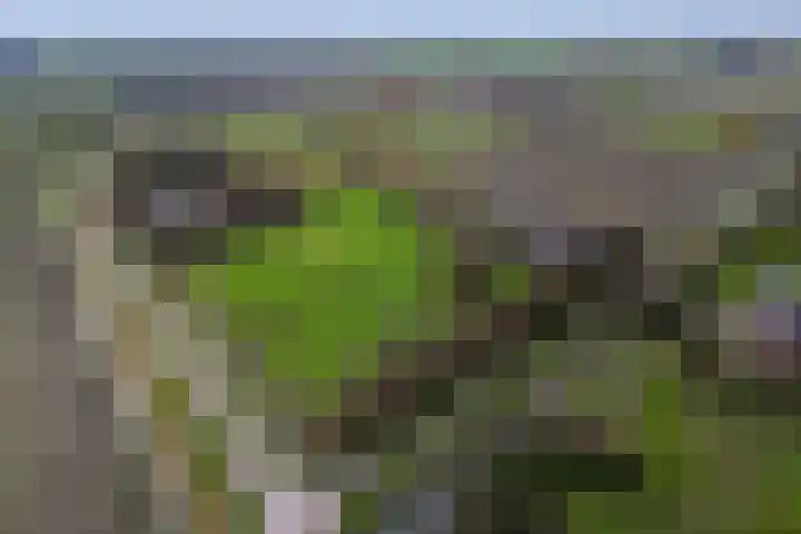 Sliklandseweg 3 Rockanje thumbnail 59