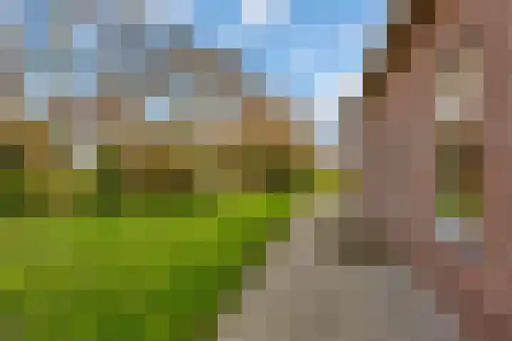 Sliklandseweg 3 Rockanje thumbnail 6