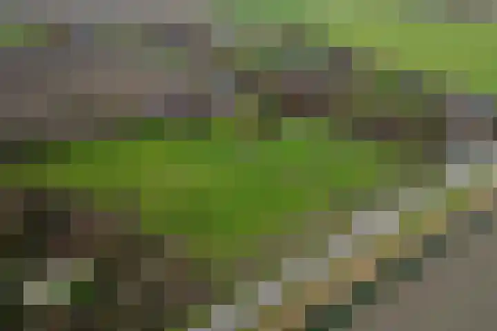 Sliklandseweg 3 Rockanje thumbnail 60